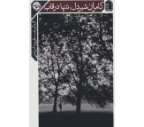 کتاب کامران شیردل،تنها در قاب اثر علیرضا ارواحی